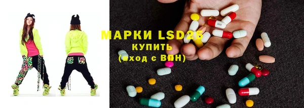 Альфа ПВП Аркадак